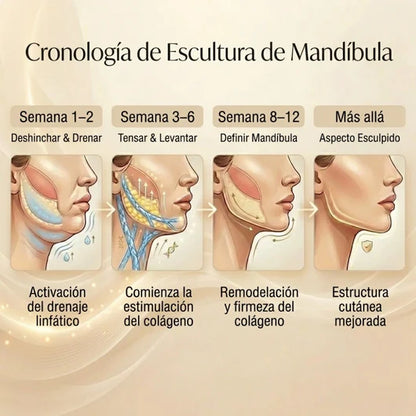 BANDA FACIAL MOLDEADORA CON EFECTO LIFTING™ DEFINE TU ROSTRO DESDE CASA SIN CIRUGÍA NI TRATAMIENTO COSTOSO!